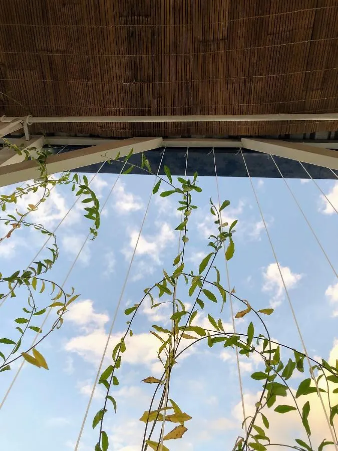 Annie Homestay Nui Mot Nha Trang 0*,